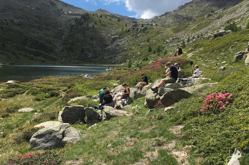 Début juillet, la flore illumine les randonnées à Névache. Début juillet, la flore illumine les randonnées à Névache.