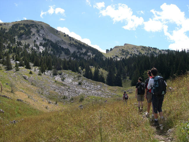 Hauts plateaux du vercors Hauts plateaux du vercors