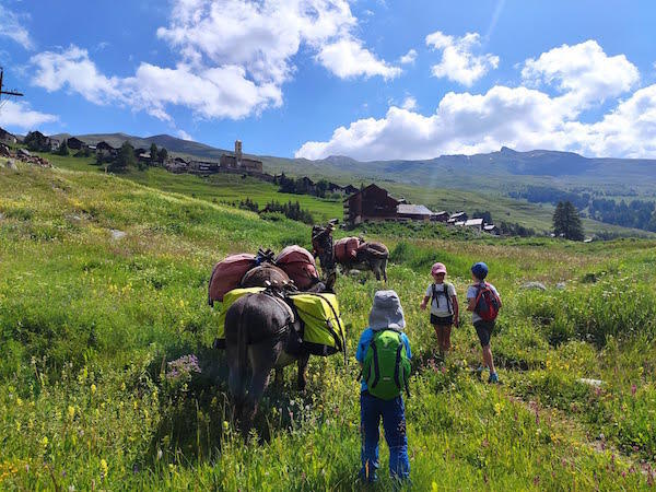 bivouac-ane-queyras-3 bivouac-ane-queyras-3