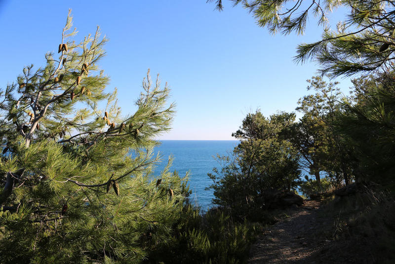 Collioure détente Collioure détente