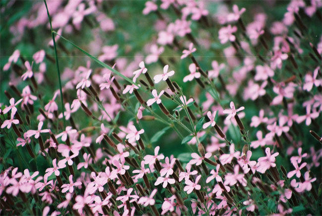 rando aveyron rando aveyron