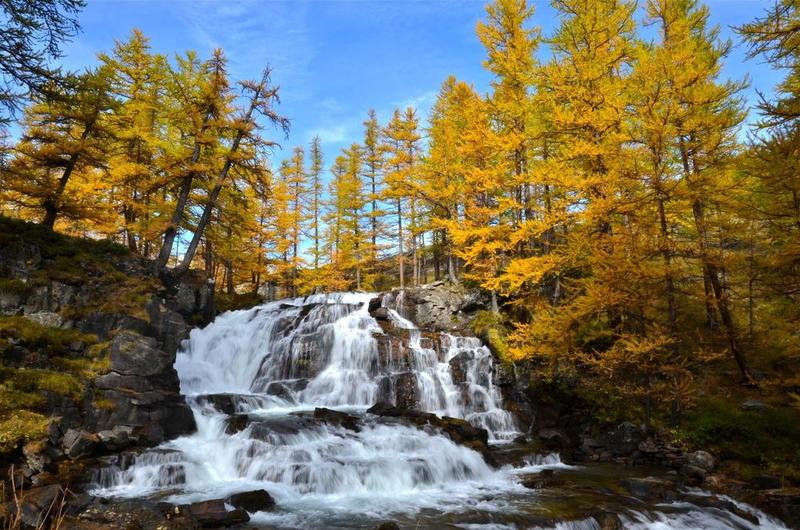 Toujours un bonheur d'aller voir la cascade de Fontcouverte en vallée de la Clarée. En toute saison et particulièrement quand les mélèzes qui l'encadrent ont pris leur robe de lumière avant l'hiver. Toujours un bonheur d'aller voir la cascade de Fontcouverte en vallée de la Clarée. En toute saison et particulièrement quand les mélèzes qui l'encadrent ont pris leur robe de lumière avant l'hiver.