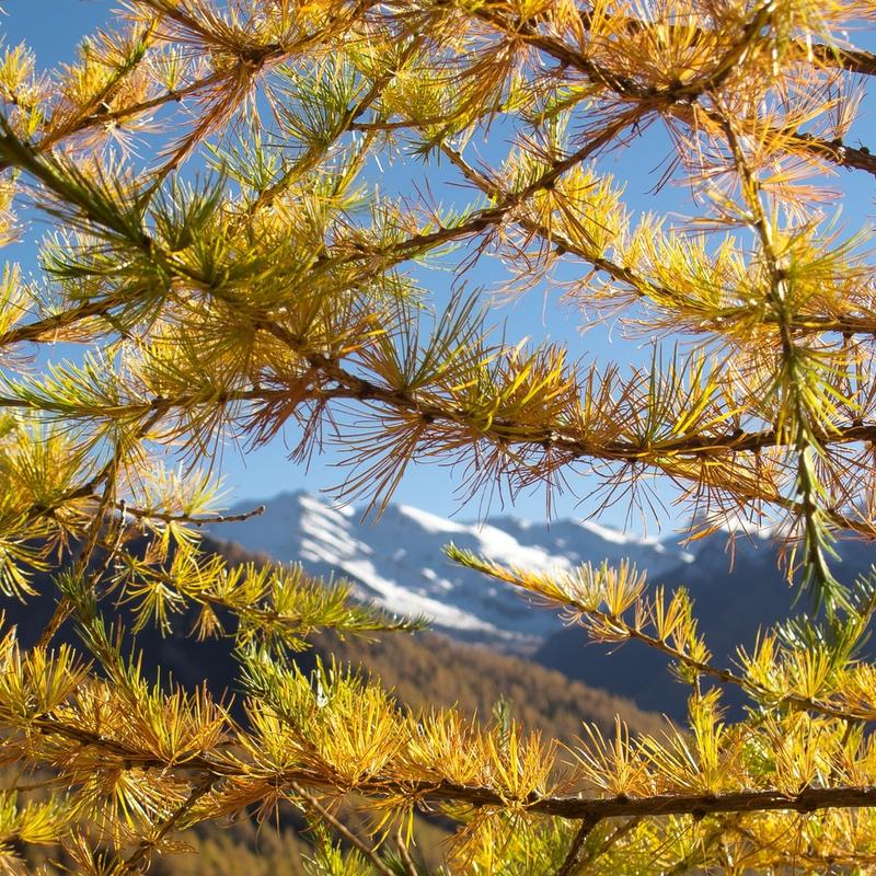 Randonnée d'automne dans le Queyras Randonnée d'automne dans le Queyras
