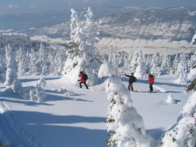 Randonnée nordique à ski dans le Vercors Randonnée nordique à ski dans le Vercors